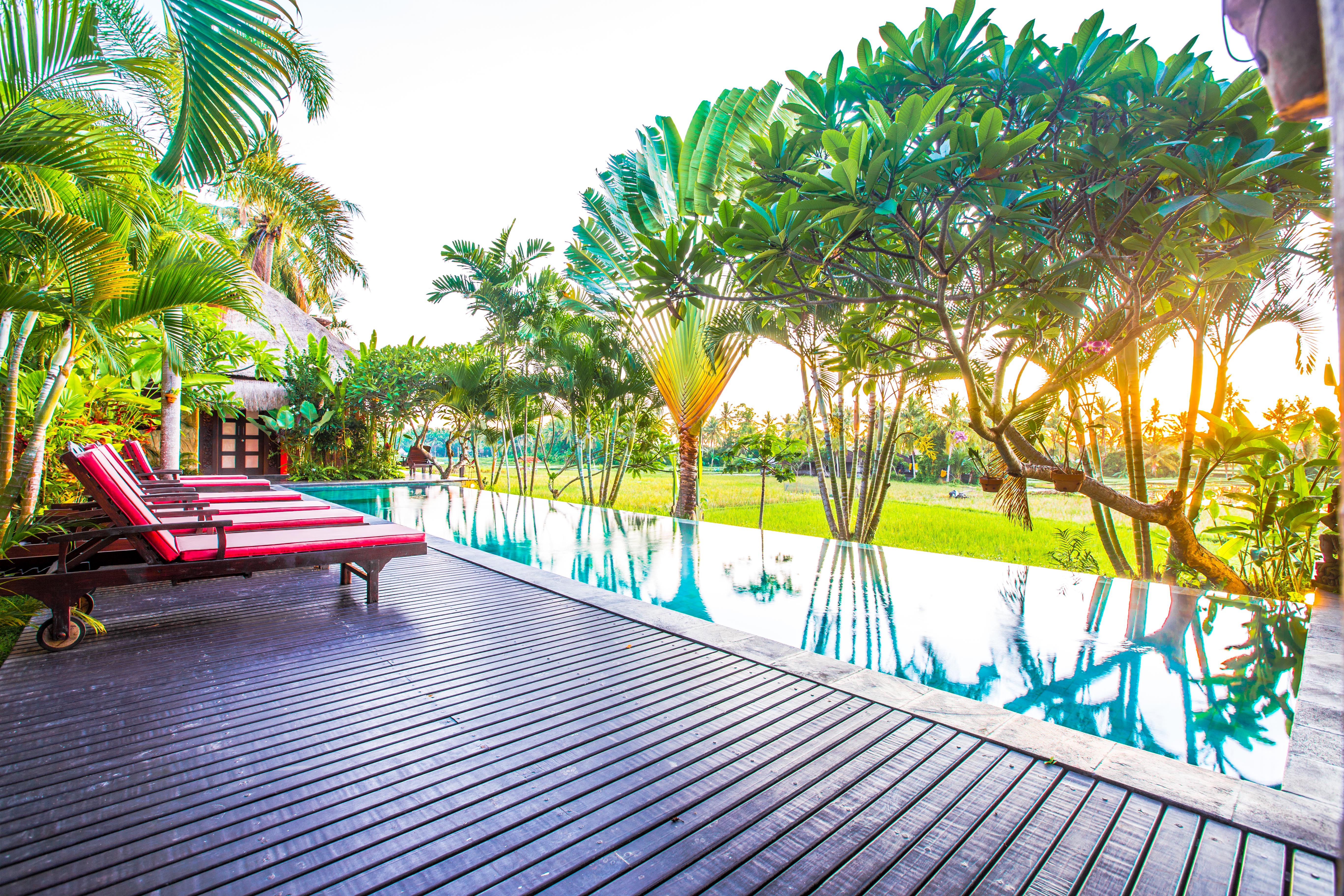 Bali Harmony Villas infinity pool overlooking rice fields